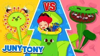 Game On! Insect-Eating Plants | VS Series | Insect Songs for Kids | Animal Song | JunyTony