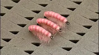 Le gammare translucide rose rentre dans la collection Nymphévolution 🦐🦐🦐