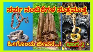 ಭಾಗ-2 ಸರ್ಪ ನಂಬಿಕೆಗಳ ಸುತ್ತಮುತ್ತ ನಮ್ಮ ಜೀವನ ಹೇಗೆ ಸಾಗುತ್ತಿದೆ...? || 