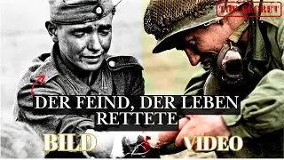 Zwischen den Frontlinien: Die Stille nach dem Kampf | Bewegende Farbaufnahme