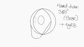 Animation practice #7  360 head turn