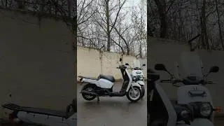 Все хотят этот скутер HONDA #kupiscooter #скутер #benly