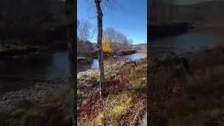 Scenic dual sport road off Beaverkill Rd Roscoe NY