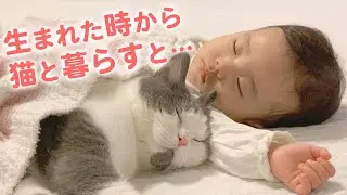 我が家の妹は小さな「猫好き」さん♡ 女の子と二匹のニャンコの毎日