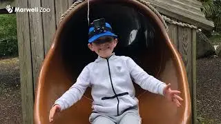 Kids' Eye View of Marwell Zoo