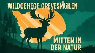 Wildgehege Grevesm&uuml;hlen - Mitten in der Natur - Geheimtipp Deutschland