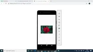 Get App version Programmatically