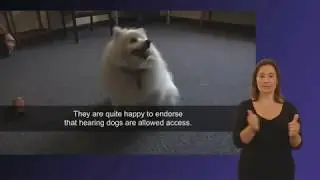 Access Rights for hearing dogs trained by charity Hearing Dogs for Deaf People