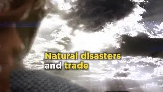 Natural disasters and trade