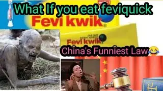 What if we eat feviquick। China's funniest law। interesting video
