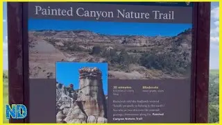 Painted Canyon Video