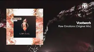 Voetwerk - Raw Emotions (Original Mix) [Liminal]