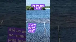 Encontre sua tribo e seja mais forte.