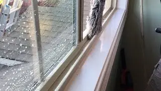 How to Clean Window Tracks