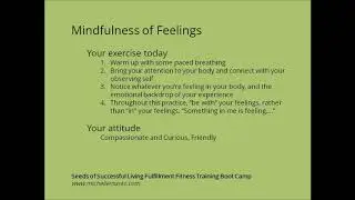 Mindfulness of Feelings - Psychological Fitness Training with Dr. Michelle Marks