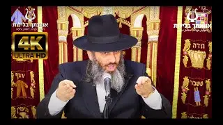 שיעור כזה על כיבוד הורים עוד לא שמעתם !! הרב רונן שאולוב בשיעור על עשרת הדברות ע״פ כד הקמח !!קרית גת