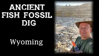 Ancient Fish Fossil Dig  | Southwest Wyoming |