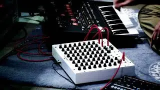 Analogue Solutions AS500-SEQ Driving a Vintage ARP Odyssey | 64-Step CV Sequencer Demo