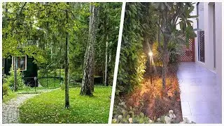 75 Mid-sized Scandinavian Landscaping Design Ideas You'll Love 🔴