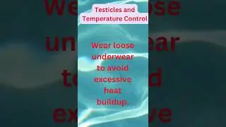 THE SURPRISING SCIENCE OF TESTICLES AND TEMPERATURE CONTROL!