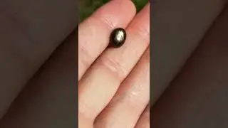 Чёрный сапфир звездчатый 5,05 карат
