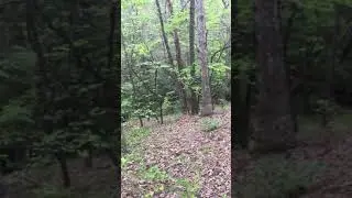 Hidden Treasure Trails Royston, GA