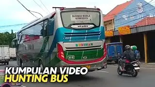 Kumpulan Video Hunting Bus ❗ BUDIMAN, MEDALI MAS, M TRANS, ARIMBI, SHANTIKA, SAHAALAH, AGRA MAS dll