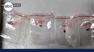 2 Chinese nationals arrested for smuggling &lsquo;potential agroterrorism&rsquo; fungus