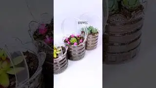 Plastic bottle are turned into flowers pots 
