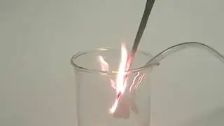 Wooden Splint Burning in Oxygen Gas (O2)