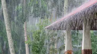 This Relaxing Rainstorm Makes You Sleepy | Rain Sounds | No Ads