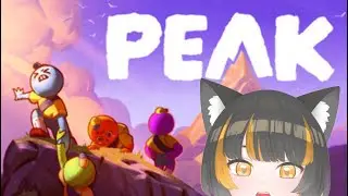 【PEAK】1時間チャレンジ！１人で山登り～【南把みはち /nanba mihachi】