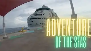 Royal Caribbean Adventure of the Seas | Cruise Vlog | Hurricane Elsa | Dinner | Night Life
