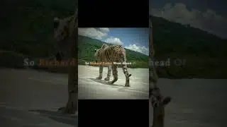 He Left Him Without Saying Goodbye | Life Of Pi | Richard Parker | Irrfan Khan | Die With A Smile
