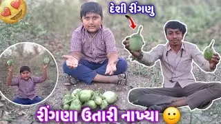 રીંગણા ઉતારી નાખ્યા 😱 || rigan utari nakhaya || Prashantlifestylevlogs #gujarativlogs #viralvideo 