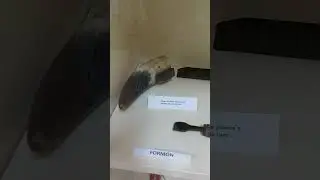 COTES Exposici&oacute;n Alcubillas (Ciudad Real) 2025