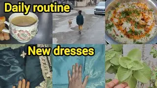 Hyderabadi Mom And Son Daily Routine#New Dresses#Biryanirecipe 