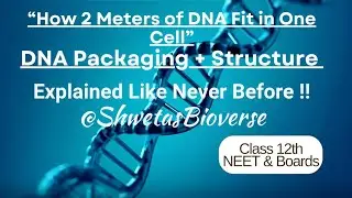 &ldquo;How 2 Meters of DNA Fit in One Cell!😲| DNA Packaging & Structure