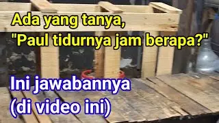 Ada yang tanya, 