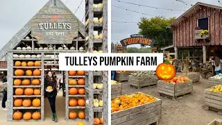 ФЕСТИВАЛЬ ТЫКВЫ Tulleys 🎃 | Идея однодневной поездки из Лондона