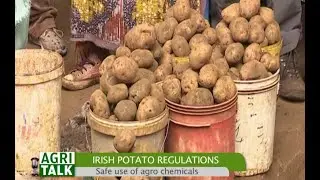 Irish Potato value chain and the importance of packaging regulation - Part 2