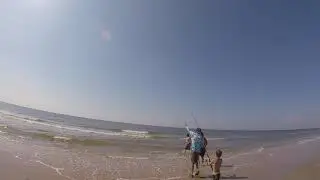 Blacktip shark sabine pass McFadden beach tx