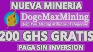 Pago de dogemaxmining pago instantananeo