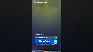 WARZONE 2 WILL NOT OPEN ON BATTLENET