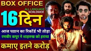 Animal Box office collection, Ranbir Kapoor, Bobby Deol, Animal 15 Days Collection worldwide, Animal