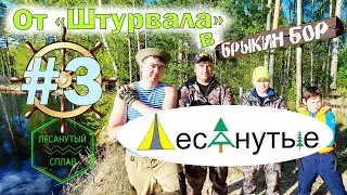 Лесанутый сплав по Пре 2021: от 