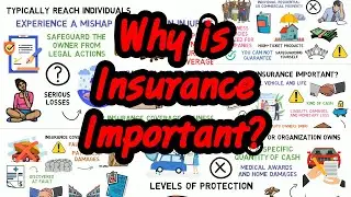 Why is Insurance Important in 2021 | Wealthlly