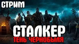 Проходим S.T.A.L.K.E.R.: Тень Чернобыля на стриме