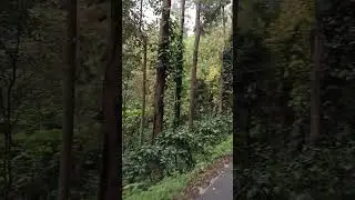 #yercaudhillstation #monsoon #days