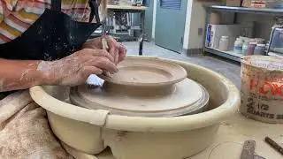 Plate Demo